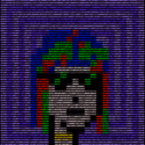 A5c11 Punk5