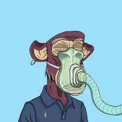 OG Ape Club #2933
