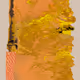 127