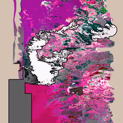 81