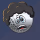 775