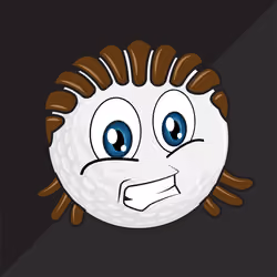Ballhead #204