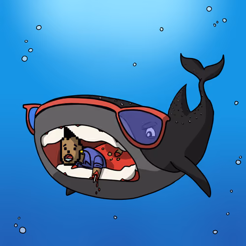 Whale Shark #91
