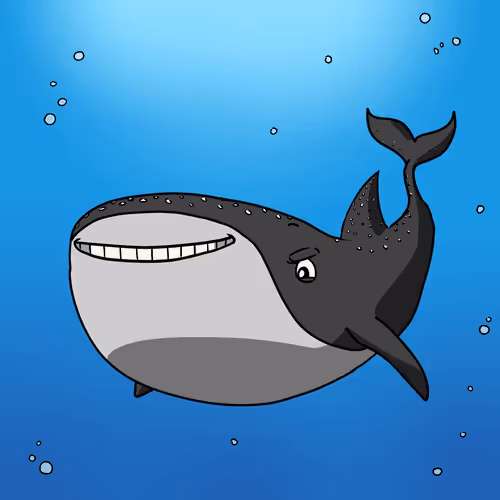 Whale Shark #177