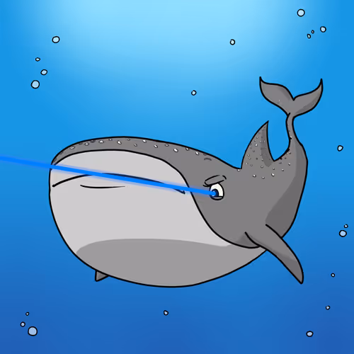 The Whale Sharks