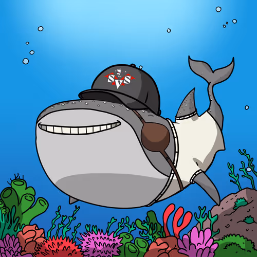 Whale Shark #72