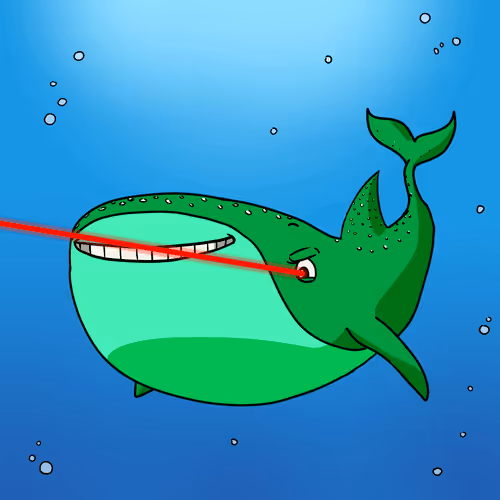 The Whale Sharks