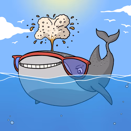 The Whale Sharks