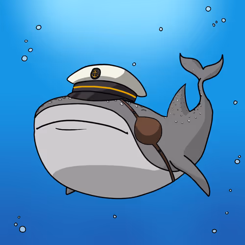 Whale Shark #115
