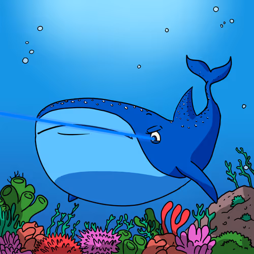 The Whale Sharks