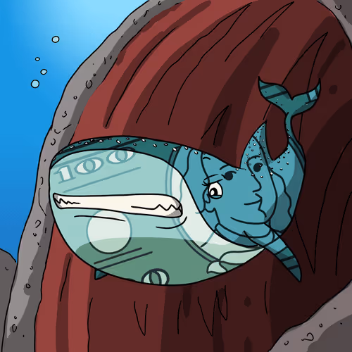 Whale Shark #153