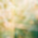 Abstract Blur V2