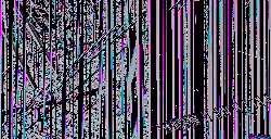 Fragment #098
