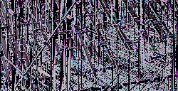 Fragment #097