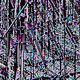 97