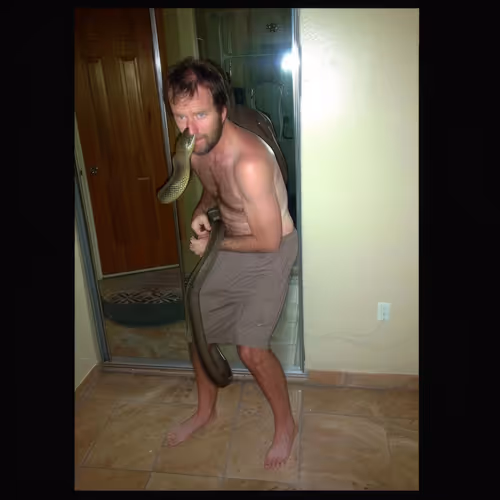 BAD JPEGS