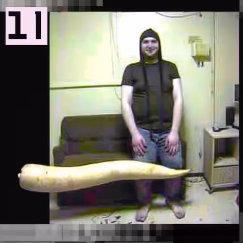 BAD JPEGS