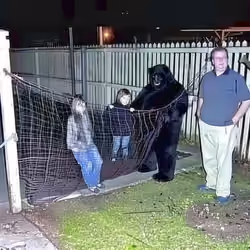 Odd-Visitor