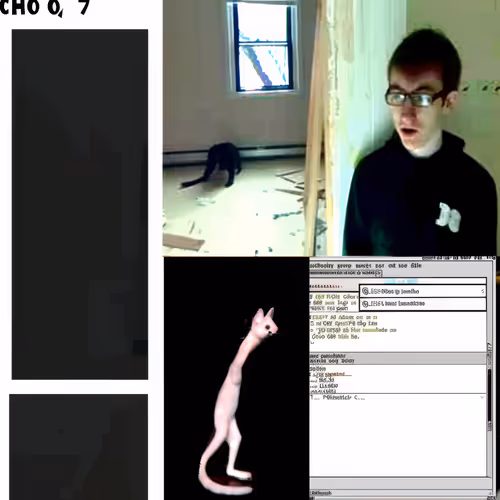 BAD JPEGS