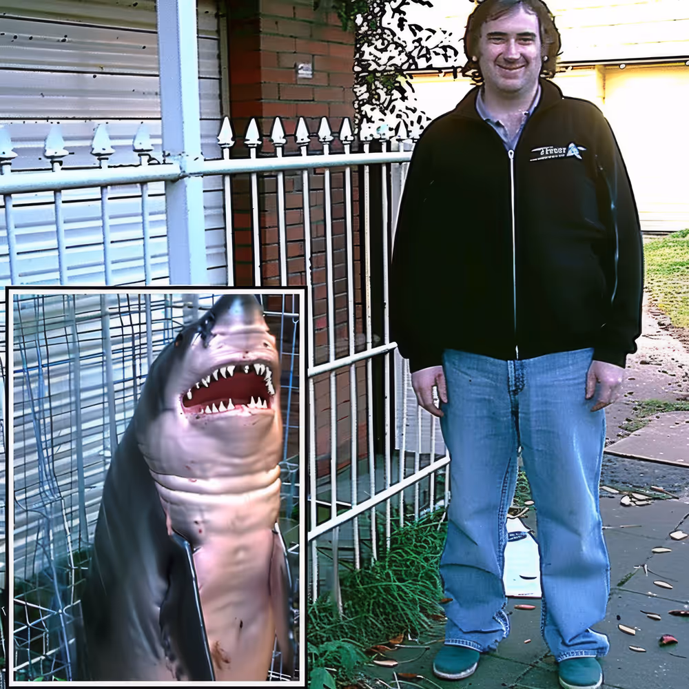 Shark-Profile-Pic