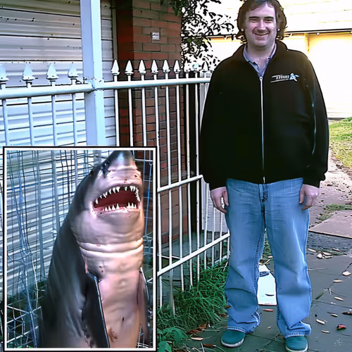 Shark-Profile-Pic