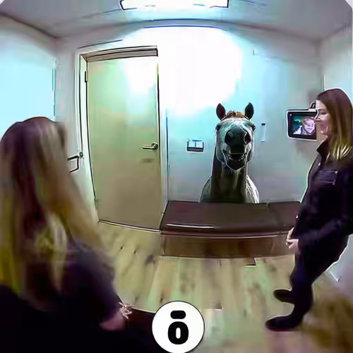 BAD JPEGS