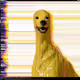 463