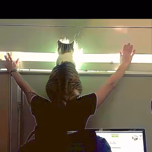 Cat-on-Shoulders