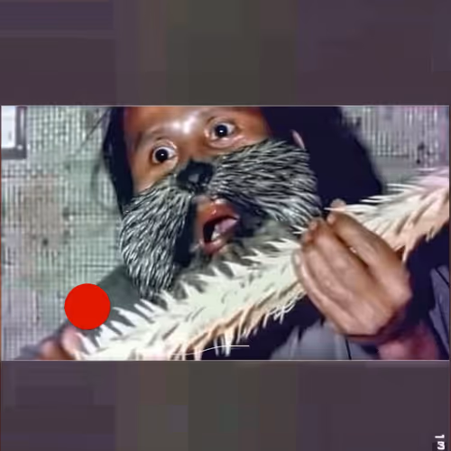 BAD JPEGS