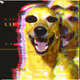 767