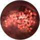 1251