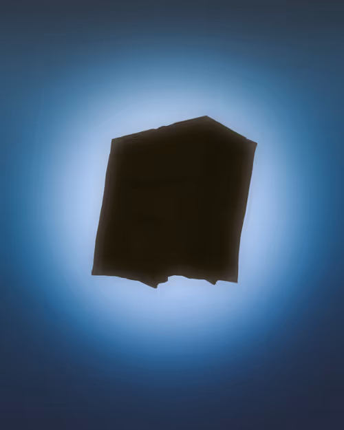 Item #1 Media
