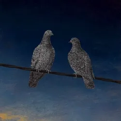 Birds Aren't Real #62
