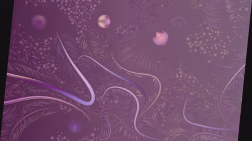 Item #14000246 Media