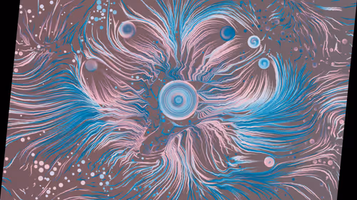 Item #31000561 Media