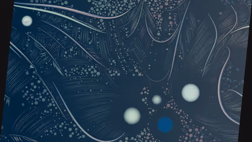 Item #22000392 Media