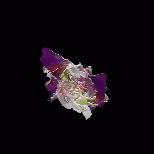 VOICE GEMS x Crashblossom (Voices of Web3)