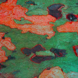 BANANA BARK 2