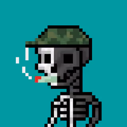 Skull Nation #686
