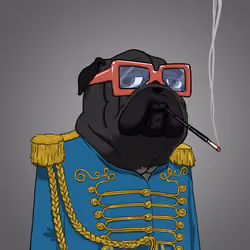 Captain Desmond Walkshire, the Pug