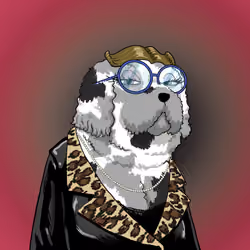 Mrs. Ava Slobbere, the Poodle