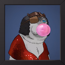 Mrs. Becks Dogesquire, the Poodle