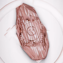Channel Season 0 Founder Token