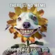 there is no meme