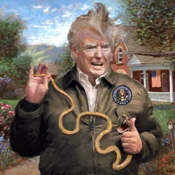 Trump McNifty #2242