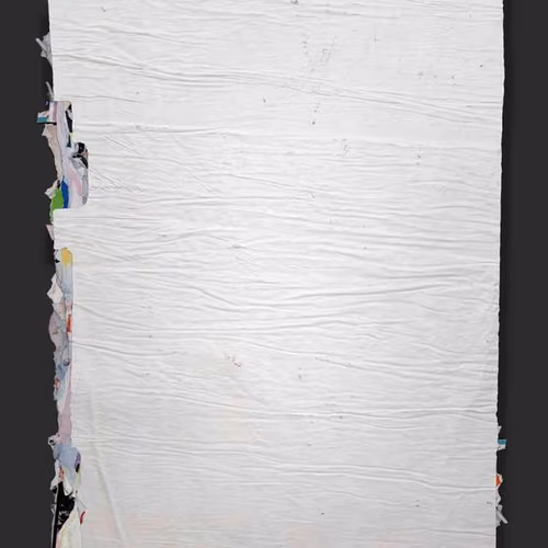 LAYERS #781