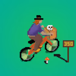 Rider #1529