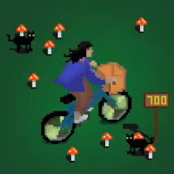 646