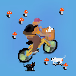 Rider #1815