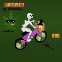 Rider #511